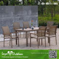 Directly Factory Outdoor Dining Table and Chair for Dining Room